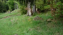 Ritterstein Nr. 037-4 R. Kaleseyerhof 1855